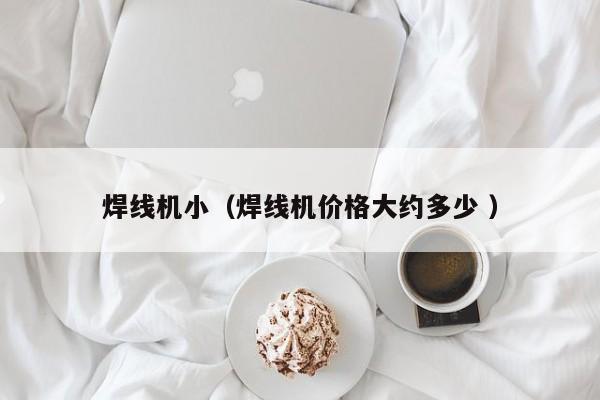 焊線機小（焊線機價格大約多少 ）